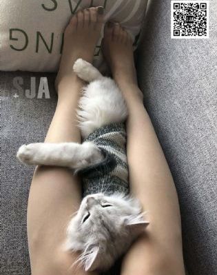 99精品国产视频_BD韩语日韩电影在线